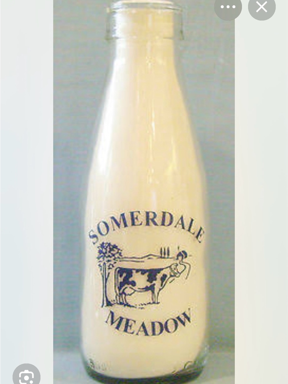 (2) Somerdale Meadow Vintage Milk Bottle - Cream with Navy Logo - Hard to Find